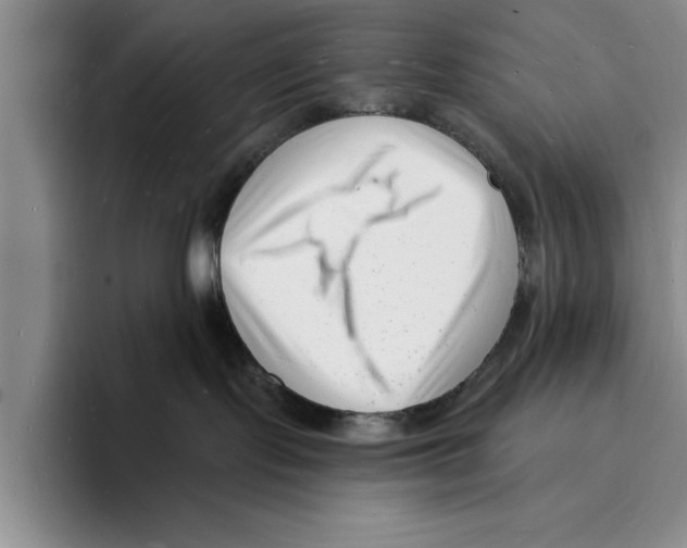 X0000096390095200802211151