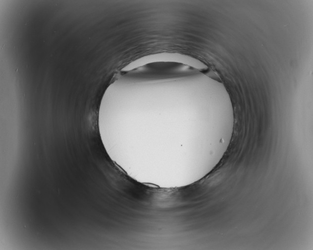 X0000096390096200802211151