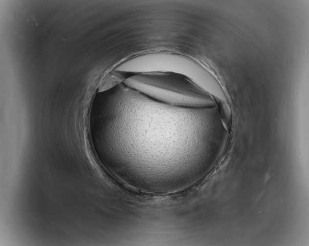 X0000096390097200802211150