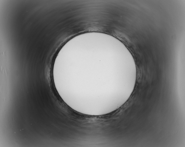 X0000096390098200802211150