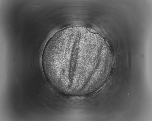 X0000096390099200802211150
