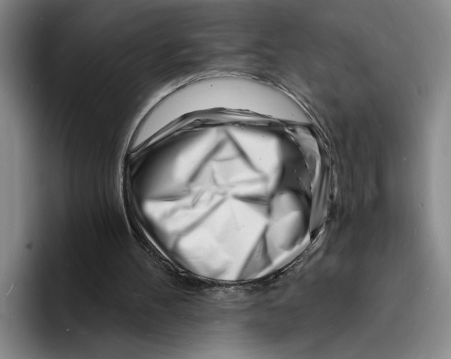 X0000096390100200802211150