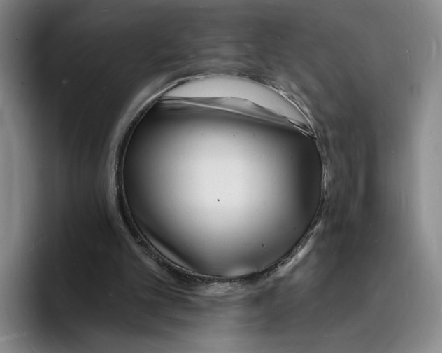 X0000096390101200802211150