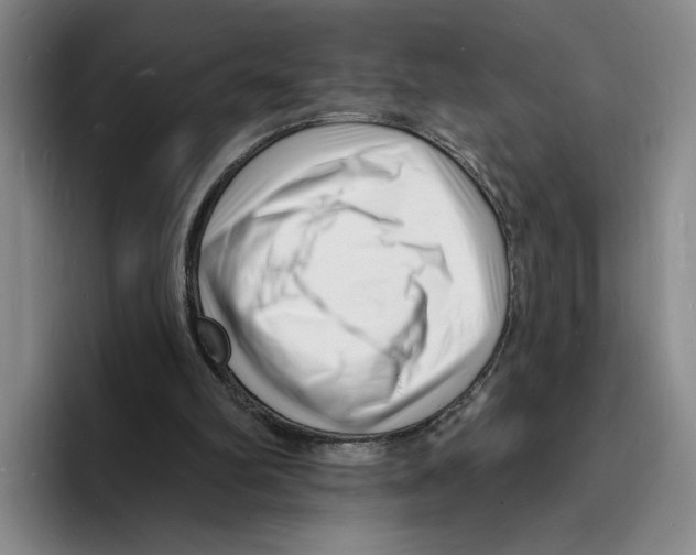 X0000096390102200802211150