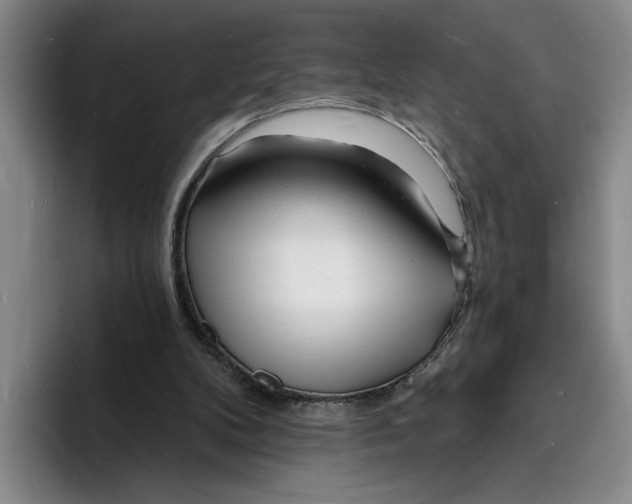 X0000096390104200802211150