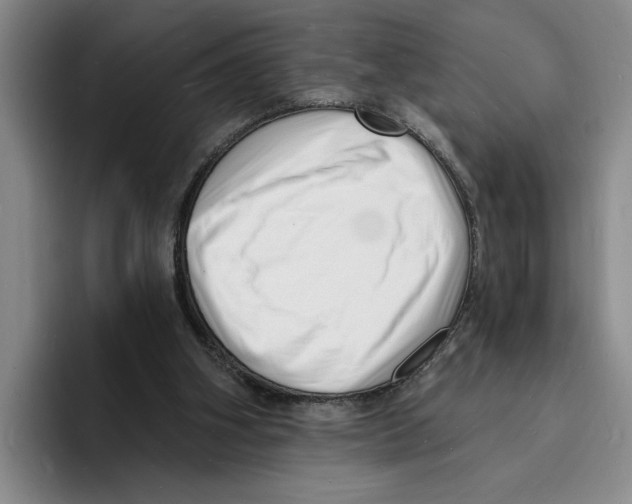 X0000096390106200802211150
