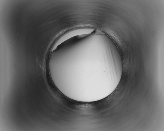 X0000096390112200802211150