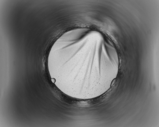 X0000096390114200802211150