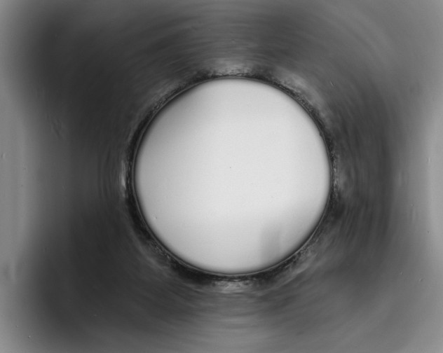 X0000096390115200802211150