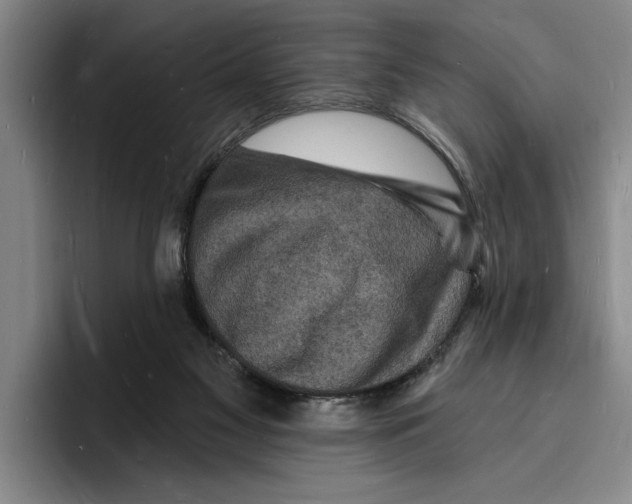 X0000096390117200802211150