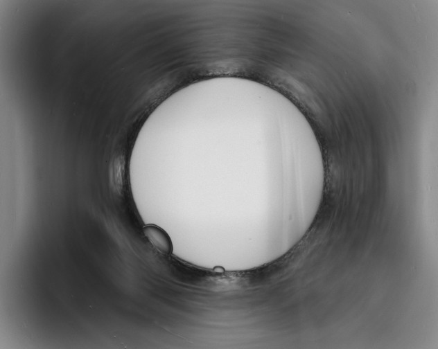 X0000096390118200802211150