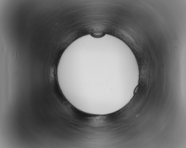 X0000096390122200802211150