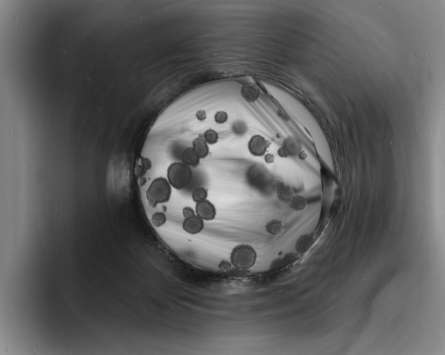 X0000096390124200802211150