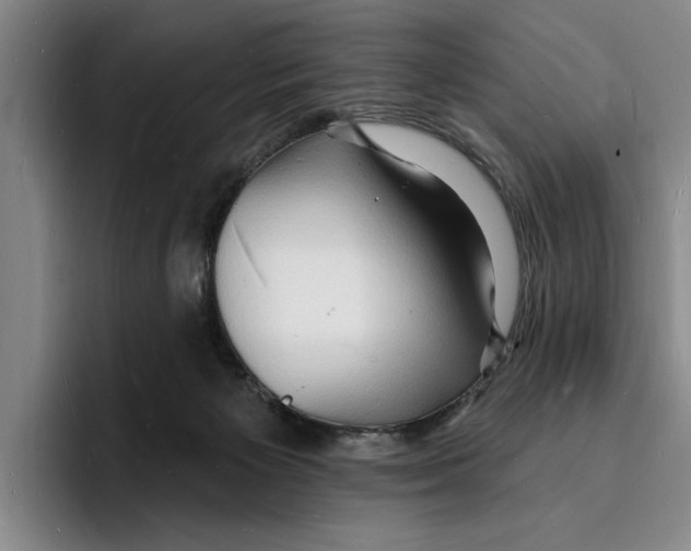 X0000096390125200802211150