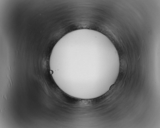 X0000096390126200802211150