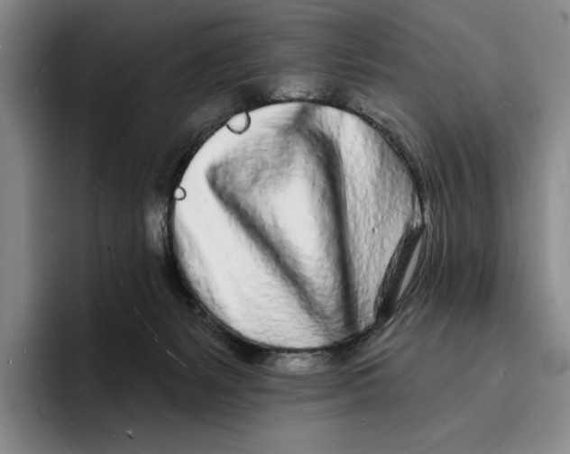 X0000096390127200802211150