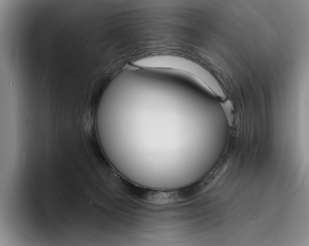 X0000096390129200802211150