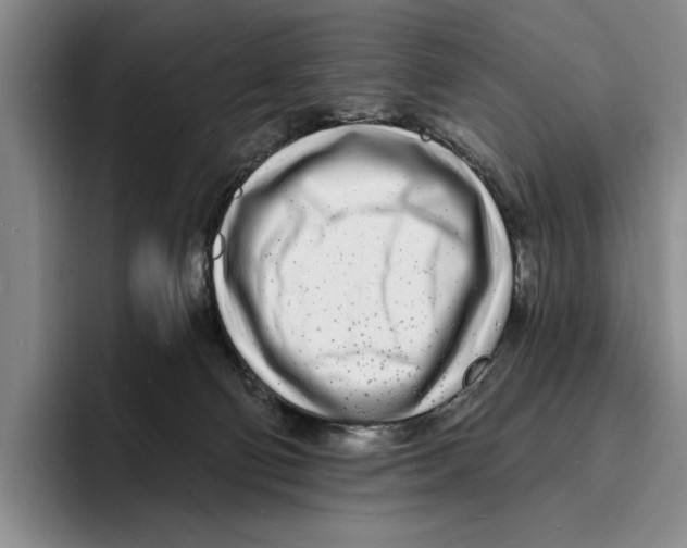 X0000096390130200802211150