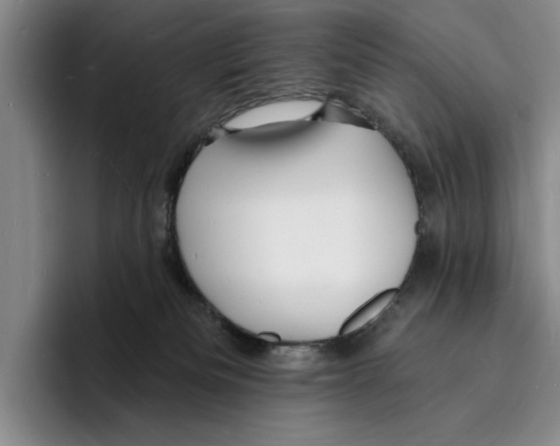 X0000096390133200802211150