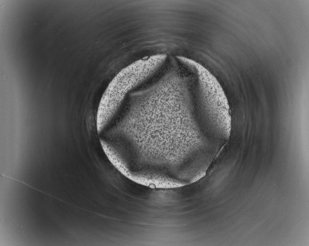 X0000096390137200802211150