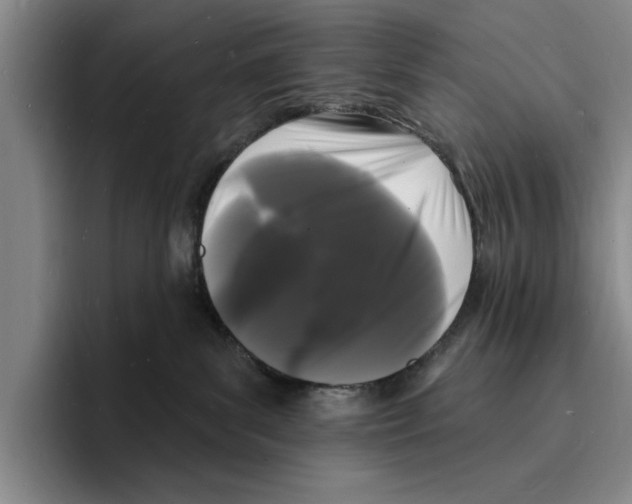 X0000096390139200802211150
