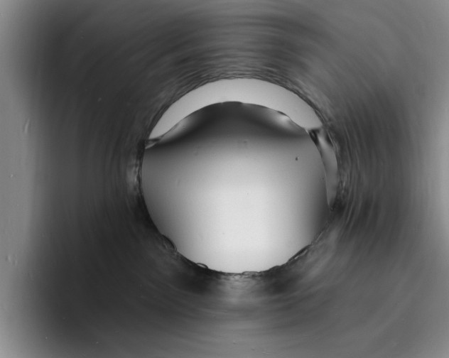 X0000096390141200802211150