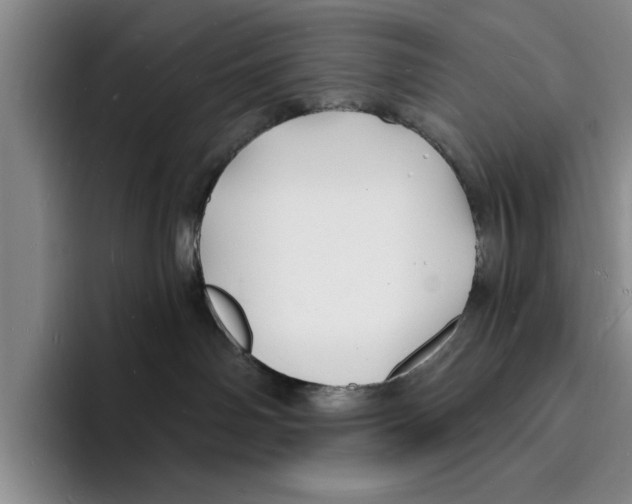 X0000096390142200802211150