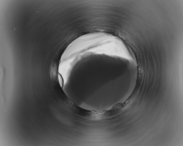 X0000096390143200802211150