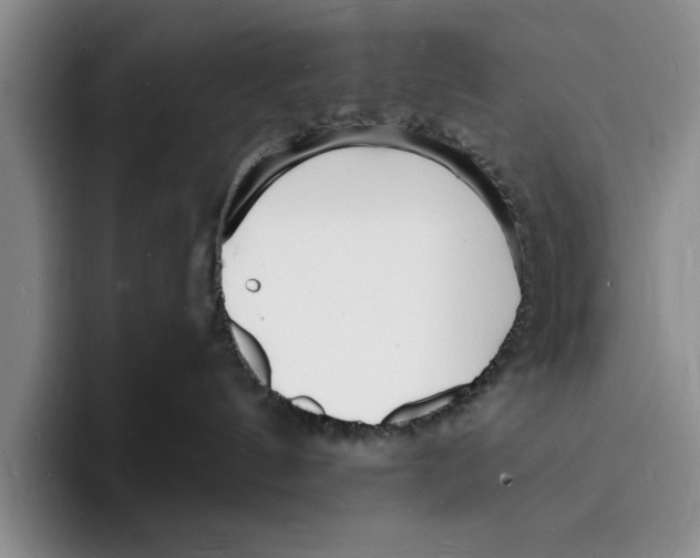 X0000096390144200802211150
