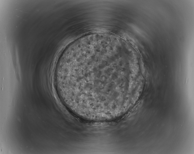 X0000096390145200802211149