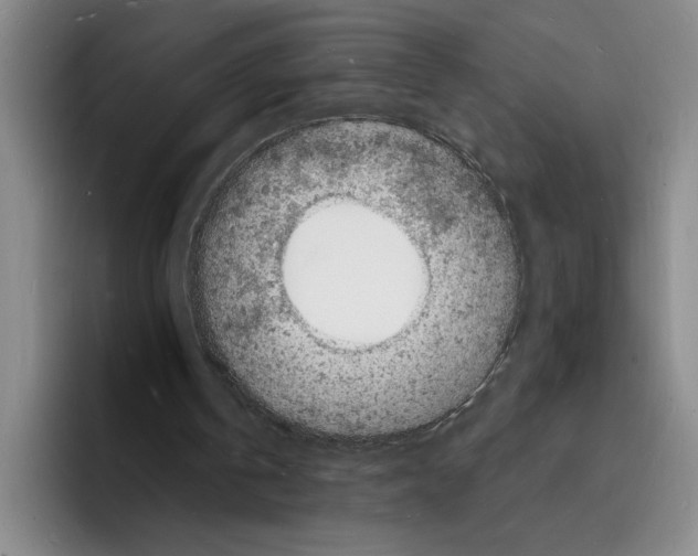 X0000096390146200802211149