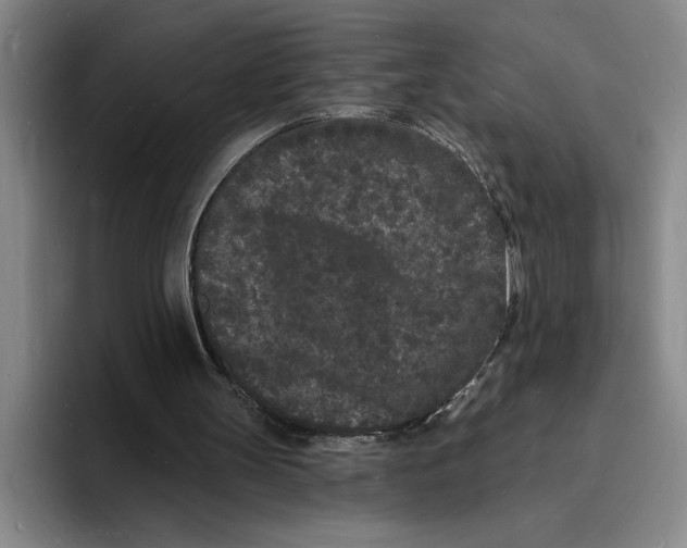 X0000096390147200802211149