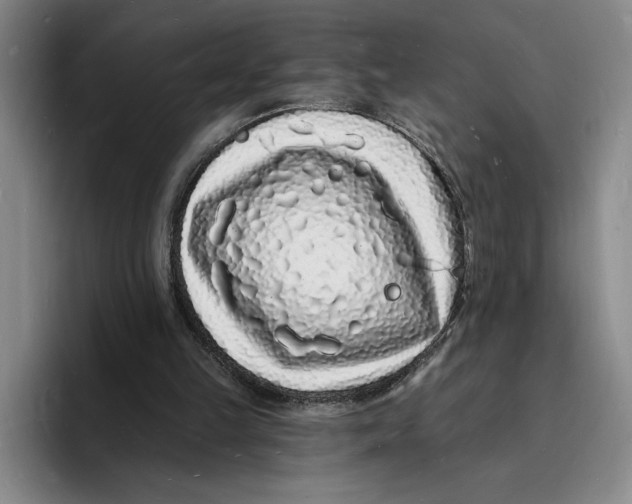 X0000096390149200802211149