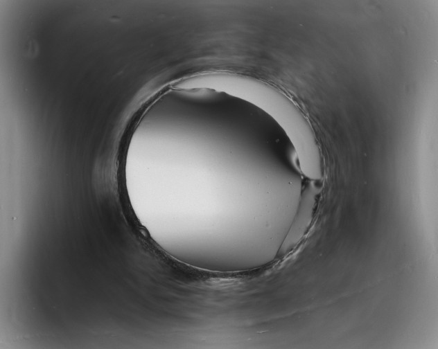 X0000096390150200802211149