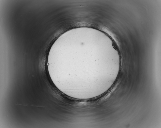 X0000096390153200802211149