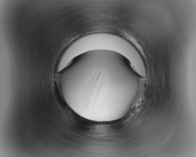 X0000096390154200802211149