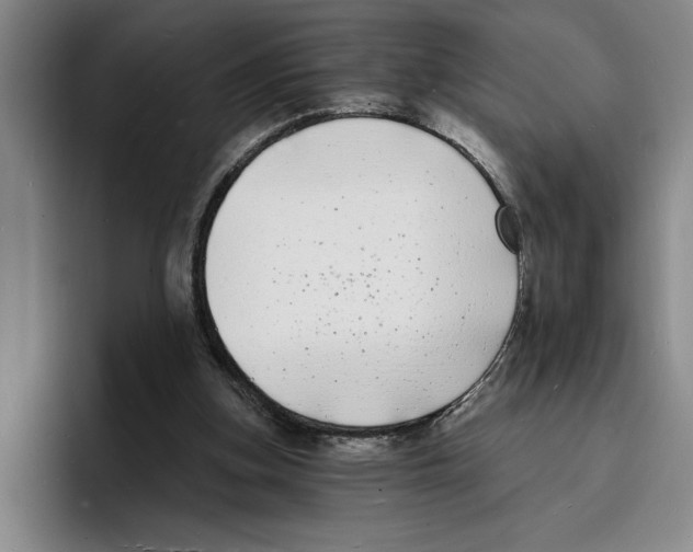 X0000096390155200802211149