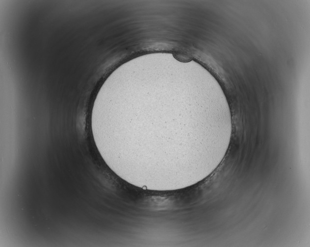 X0000096390159200802211149