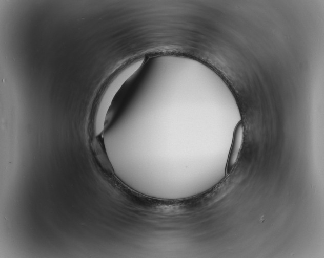 X0000096390160200802211149