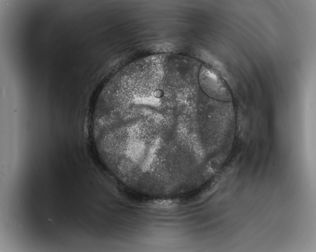X0000096390161200802211149