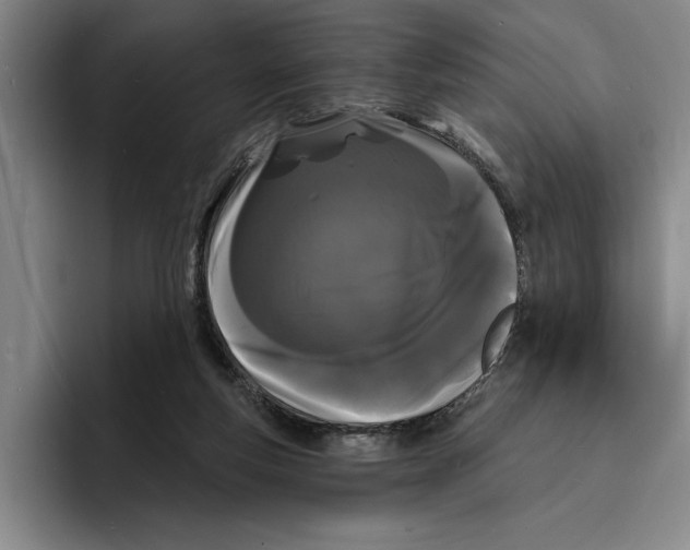 X0000096390163200802211149