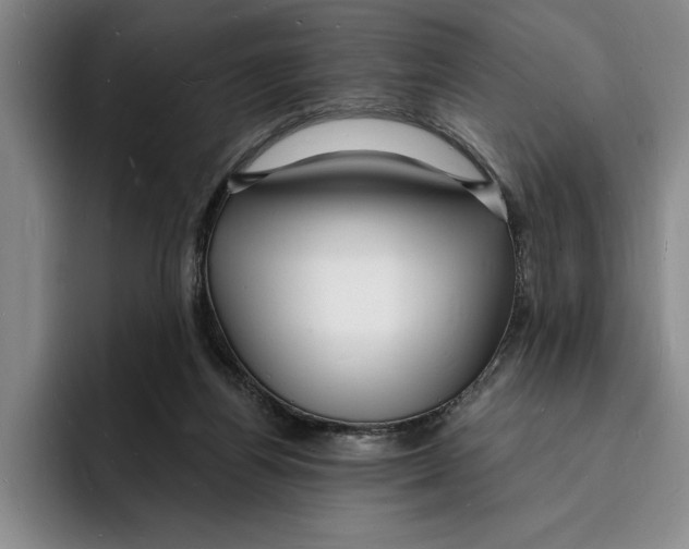 X0000096390164200802211149