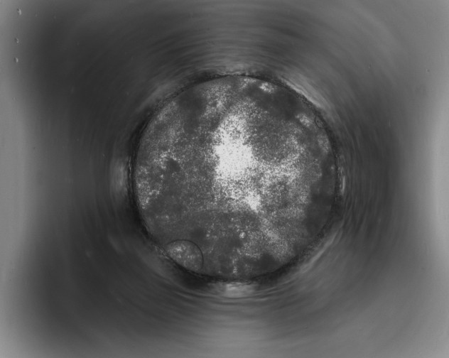 X0000096390165200802211149