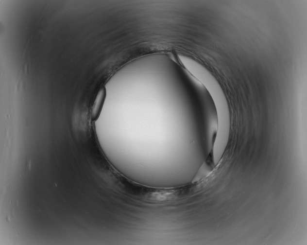 X0000096390172200802211150