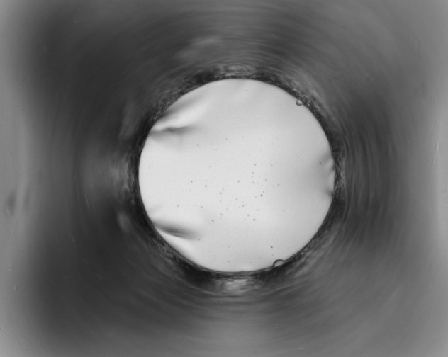 X0000096390173200802211150