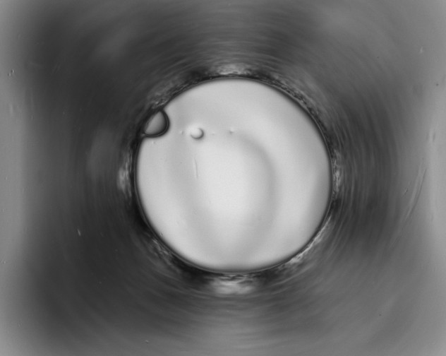 X0000096390175200802211150