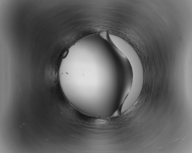 X0000096390176200802211150