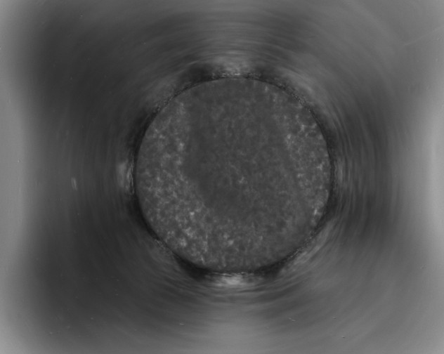 X0000096390177200802211150