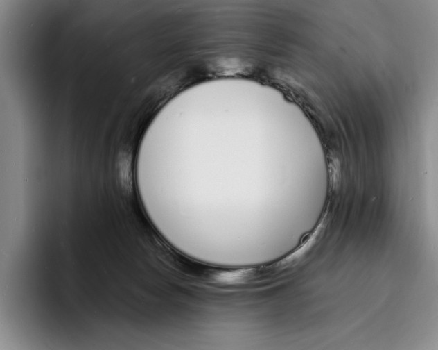 X0000096390178200802211150