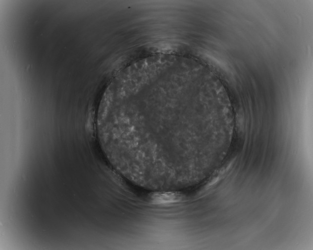 X0000096390181200802211150